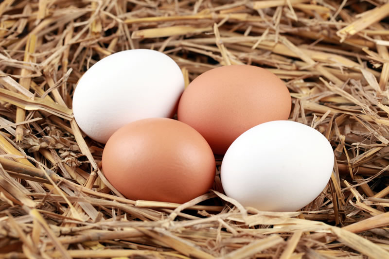 Gewichtsklassen bei Eiern